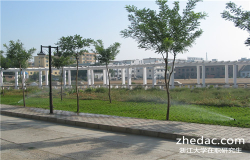 浙江大學在職研究生畢業后是什么學歷呢