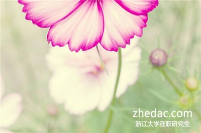 浙江大學(xué)同等學(xué)力申碩畢業(yè)后可以獲得畢業(yè)證書(shū)嗎? 浙江大學(xué)同等學(xué)力申碩畢業(yè)后可以獲得畢業(yè)證書(shū)嗎?